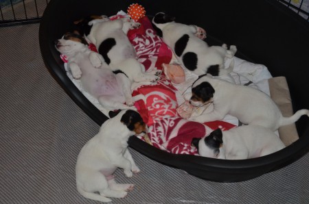 MARK-KNOCHEN 4EVER :-)