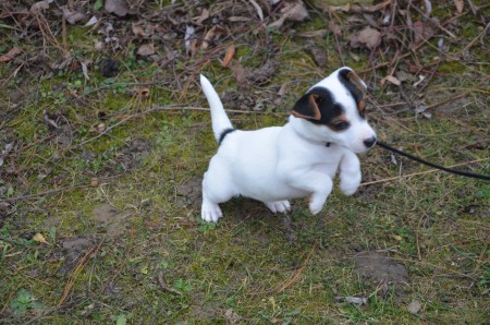 ...ich schau mal auf einen Sprung dort drüben vorbei! (Apollo)