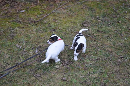 ...ich hab's entdeckt! (Anubis & Adele)