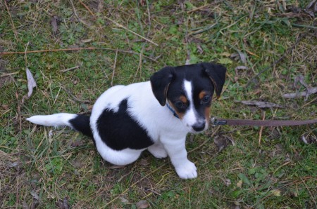 Überblick verschaffen... (Atlas)