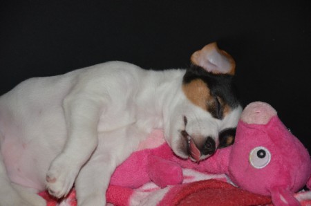 Power-Napping mit Adele - Teil 2 (...auf die Zungenstellung kommt es an!)