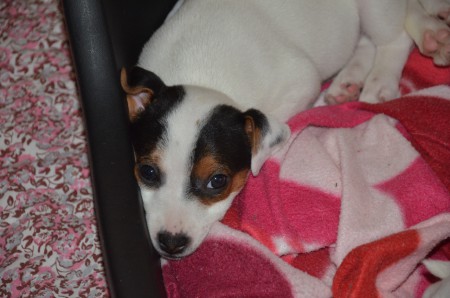 Apollo: ich zähl' mal eben noch bis 13...