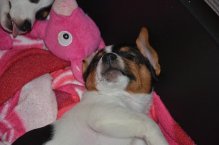 ...und TIEF-SCHLAF! (Atlas)