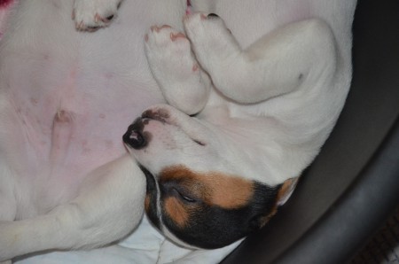 Anubis: ...sleep like an Egytian...