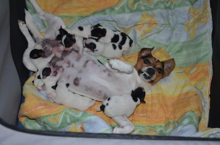 NICHT DRÄNGELN! ES IST GENUG FÜR ALLE DA!!!