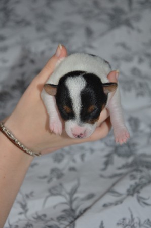 BLIND DATE - ...und: Foto-Shooting fertig!