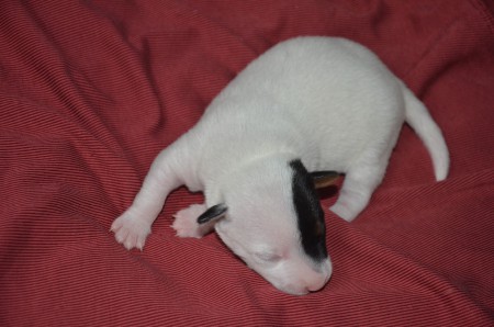 BRUCE AKA BATMAN - ein Superheld, was sonst?