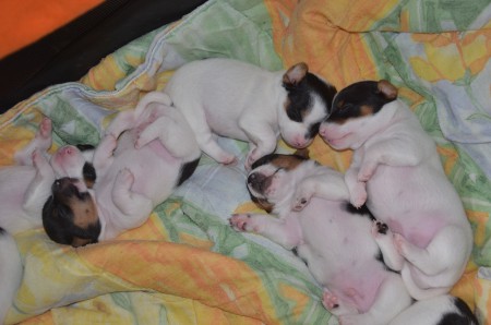 Vor dem Umzug aber noch Gruppenkuscheln!