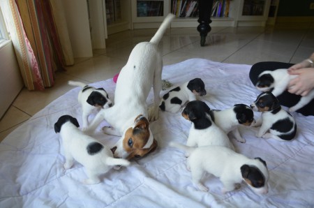 Besuch vom großen Bruder - YEEEE-AAAHH !