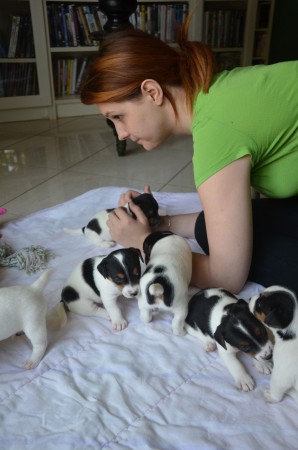 CARO (Mensch) mit BACKGAMMON, BLIND DATE, BATGIRL, BUFFON