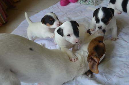 ...und immer noch die selben 3; jetzt: ALLE AUF ANUBIS !