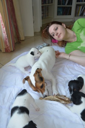 ANUBIS, BRUCE aka BATMAN & kleine B-Russells & B-Russell-Innen - MIT RINDSOHR (LECKER)