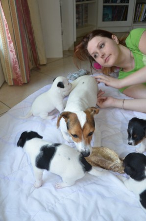 ...das Rindsohr im Zentrum des Inter-Iss-es ;-)