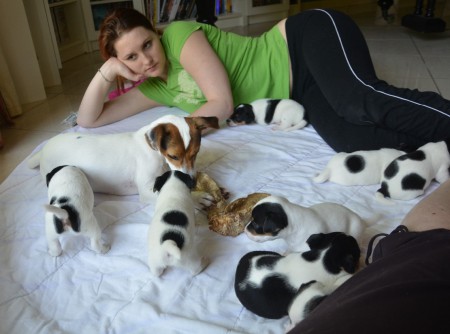 ANUBIS: Was will denn der kleine BALTHASAR 2.0 mit meinem RINDSOHR?!