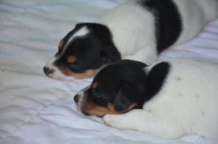 BLIND DATE im Hintergrund und BATGIRL vorne :-)