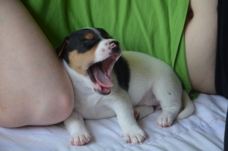 BLIND DATE Nummer 3 (*gähn*)