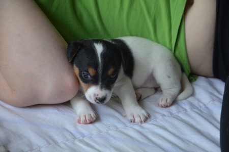 BLIND DATE Nummer 4 (...letzter Rundum-Blick...)