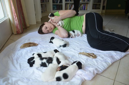 Alles schläft ... *gääähn*... einsam wacht... BANSHEE ;-)