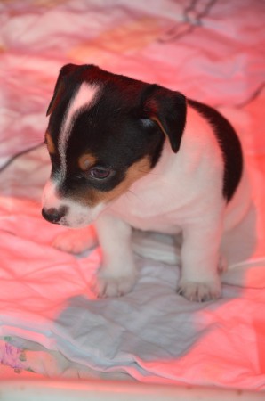 Apres-Splash Nummer 2: WÄRME-LAMPEN-TREATMENT 