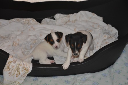 BLACK EYED PEA & BATGIRL - Sommer, Sonne, Siesta ;-)