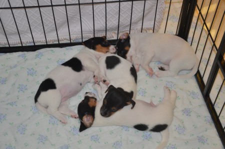 ...das SELBE nochmal...  ...oder das GLEICHE?... egal - Hauptsache ENTSPANNUNG!