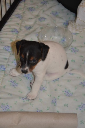 ...während BATGIRL noch ein bisschen verschlafen dreinschaut ;-)