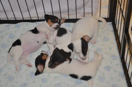 ...das Quartett teilweise einen Blick riskiert...