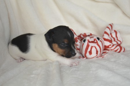 CONSTANTIN - ...in "Denker"-Pose!