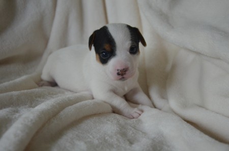 CHANEL - ...wir schauen dir in die Augen, Kleines ;-)