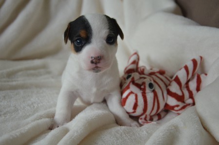 CHANEL - ...und Fisch von vorne: wer zuerst blinzelt, hat verloren :-)