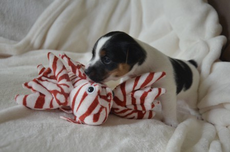 CLEOPATRA - "...von der Seite sehe ich aus, als würde ich lächeln..." ;-)