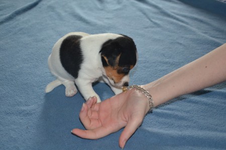 CASSIOPEIA beim FOTO-SHOOTING: "Was glitzert denn da?!"