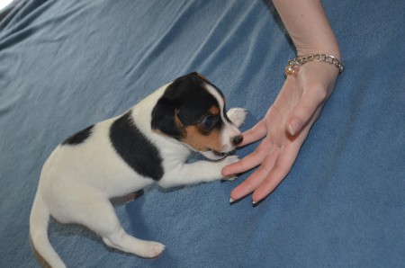 CASSIOPEIA: "Dran nuckeln? Oder kanbbern?! Oder beides?!?!"