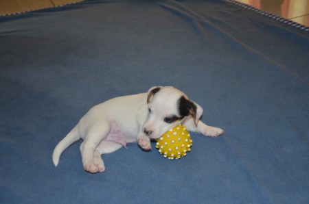 CENTURIO: "Frühsport mit Ball - ganz mein Ding!"