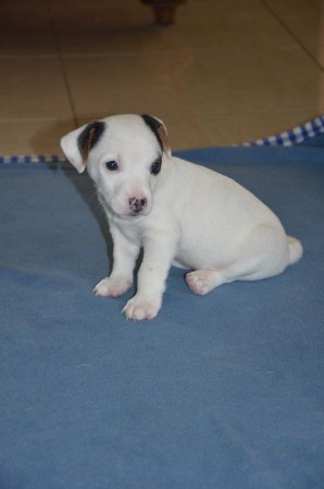 CENTURIO: "Ist das meine Schokoladen-Seite?"