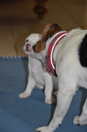 MARGE (typisch Mama!) hilft mal eben mit etwas "Spucke" aus...