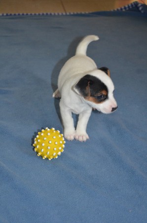 CHANEL:"Hmmm... schadet vielleicht doch nicht?"