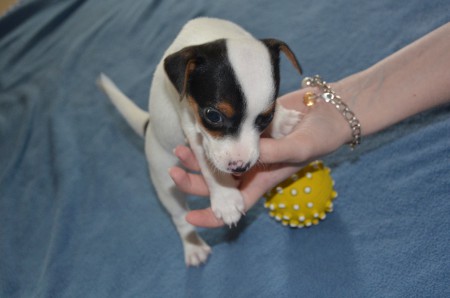 CHLOE: "Das ist der Daumen, der schüttelt die Pflaumen..."