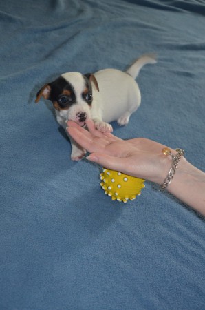 CHLOE: "Hmmm... Finger sind nicht alles..."