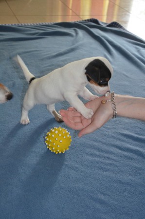 CHLOE:"...was glitzert denn da?!" (WORAN erkennt man Russell-Innen?!?)