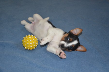 CLEOPATRA: "Frühsport? Ball? Fotos? ICH bin dabei!"