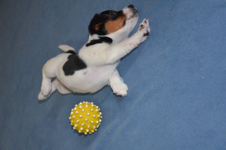 CLEOPATRA: "...und DEHNEN nicht vergessen!"