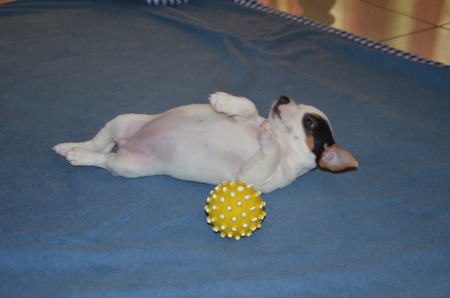 COCO: "...ich fang gleich einmal mit ENTSPANNUNGSÜBUNGEN an..."