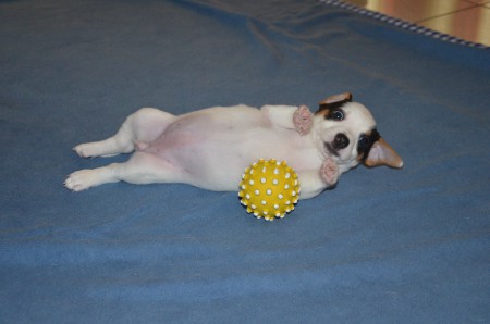 COCO: "Huch! Erwischt!"