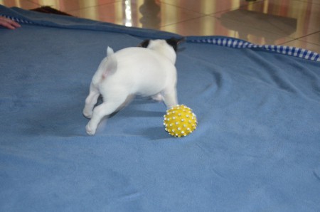 COCO: "Also doch Frühsport... und zwar SCHNELLER als die KAMERA!"