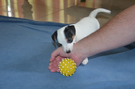 COCO: "...Ball macht mit MENSCH mehr Spaß!"