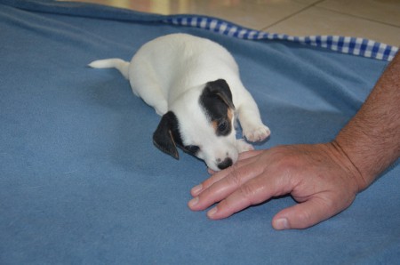 COCO: "MENSCH macht auch ohne Ball Spaß!"
