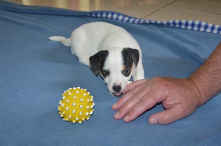 COCO: "MENSCH macht einfach IMMER Spaß!"