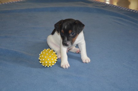 CONSTANTIN: "...dann eine Runde SYNCHRON-SITZEN mit dem Ball..."