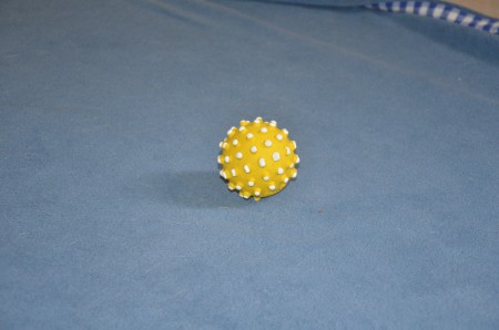 Wir finden: "UNGLAUBLICH, wie LANGE der Ball diese YOGA-POSITION halten kann!!!!"